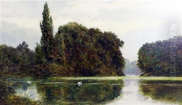 The Swans Lake, Kew Gardens Oil Painting by John Surtees