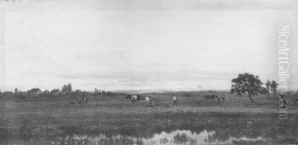 Ploughing The Fields, At Sunset by David Sutter