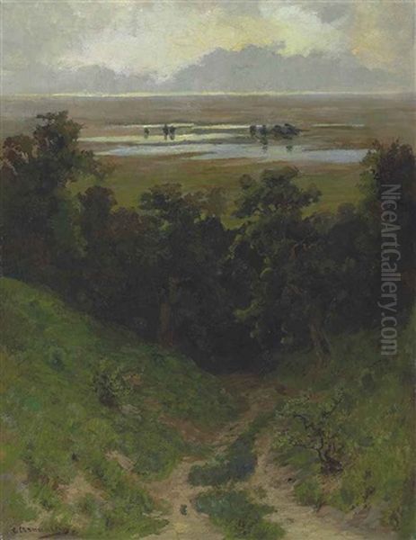 Flooded Plain Oil Painting by Sergei Ivanovich Svetoslavsky