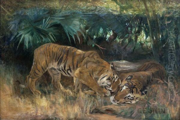 Bengal Tigers Oil Painting by Cuthbert Edmund Swan