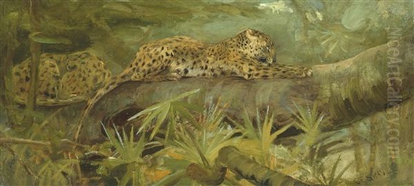 Leopards At Rest Oil Painting by Cuthbert Edmund Swan