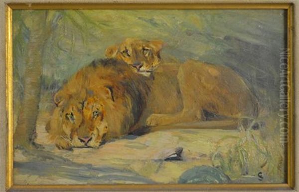 Lion And Lioness Oil Painting by Cuthbert Edmund Swan