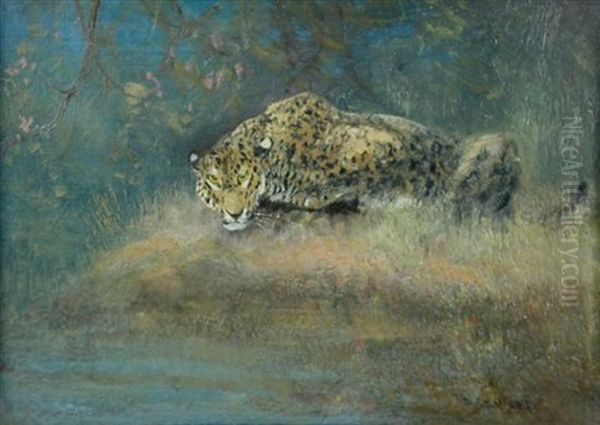 Leopard Oil Painting by Cuthbert Edmund Swan