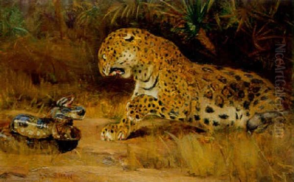 Confrontation Between Leopard And Snake Oil Painting by John Macallan Swan