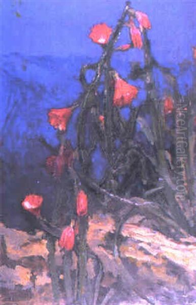 Flowering Cacti Oil Painting by John Macallan Swan