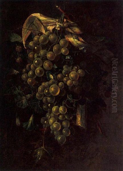 A Still Life Of Grapes, Flowers And Berries, All Tied With A Ribbon Oil Painting by Hendricus Sweegman