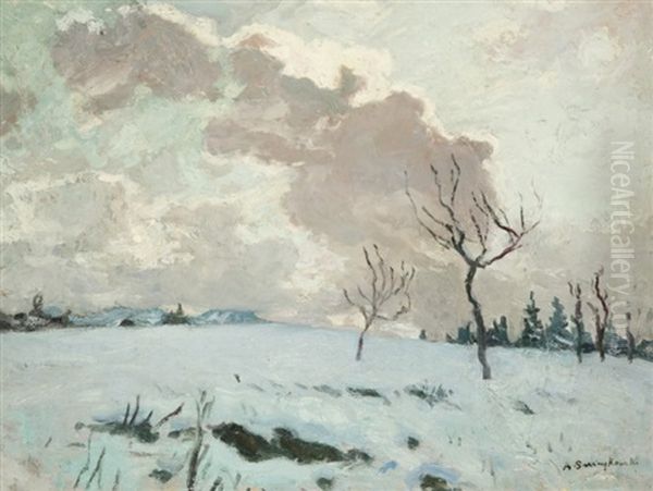 Ciel De Neige En Haute-savoie by Alfred Swieykowski