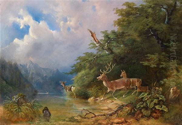 Rotwildrudel Am Seeufer Oil Painting by Eduard Swoboda