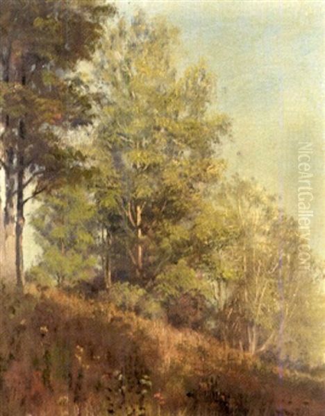 Trees A' Shimmer Oil Painting by Frederick Oakes Sylvester