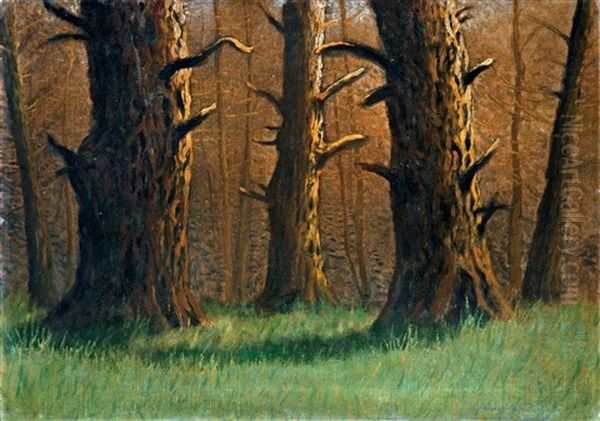 Forest View Oil Painting by Jeno Szepesi-Kuszka