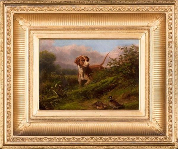 Dog And Snipe Oil Painting by Arthur Fitzwilliam Tait