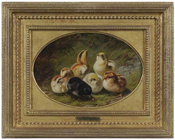 A Brood Of Chicks Oil Painting by Arthur Fitzwilliam Tait