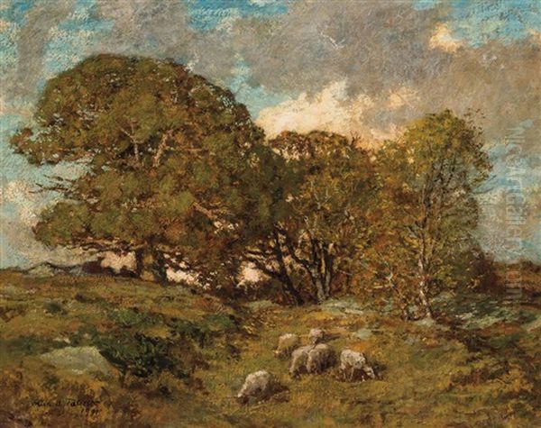 Landscape With Sheep Grazing Oil Painting by Allen Butler Talcott