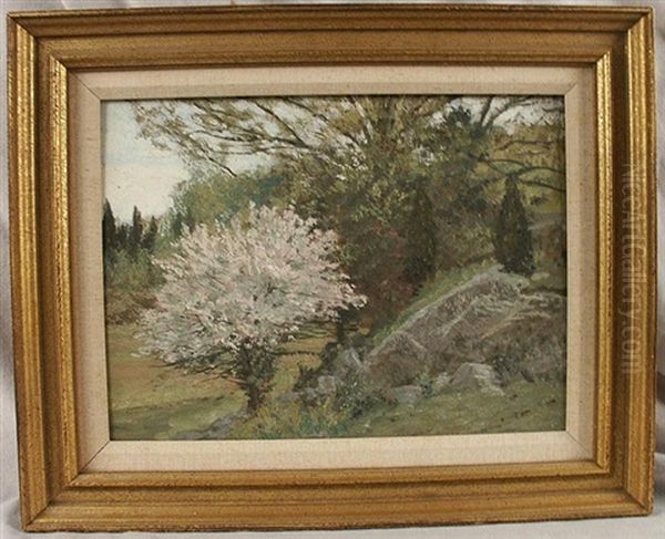 Flowering Tree Oil Painting by Allen Butler Talcott