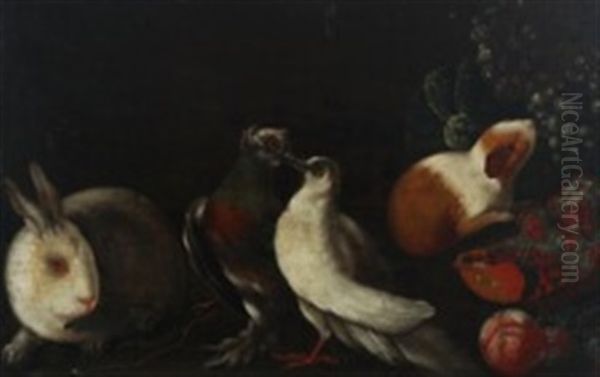 Still Life With A Rabbit, Two Turtle Doves, A Guinea Pig, Pomegranate Etc Oil Painting by Franz Werner von Tamm