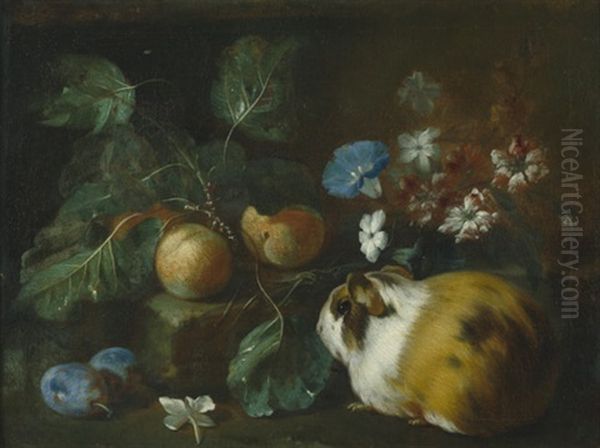 Stilleben Mit Blumen, Fruchten Und Einem Meerschweinchen Oil Painting by Franz Werner von Tamm