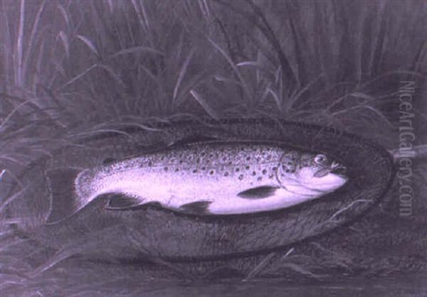 Trout In Landing Net Oil Painting by Thomas G. Targett