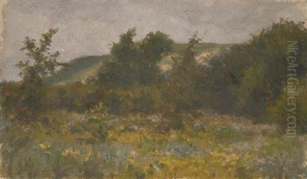 Prairie En Lisiere De Foret Et Esquisse (recto-verso) Et Cinq Paysages De Campagne (6 Works) Oil Painting by Francis Tattegrain