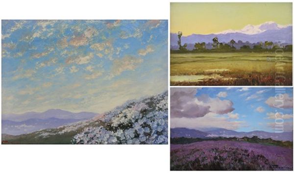 Veduta Collinare, Fioritura D'erica E Campagna Vercellese (3 Works) Oil Painting by Giovanni Tavallini