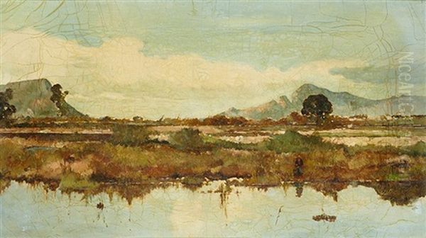 Pareja De Vistas De S'albufera Oil Painting by Gaspar Terrasa