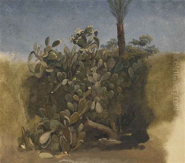 Study Of A Cactus, And Trees Behind Oil Painting by Willem De Famars Testas