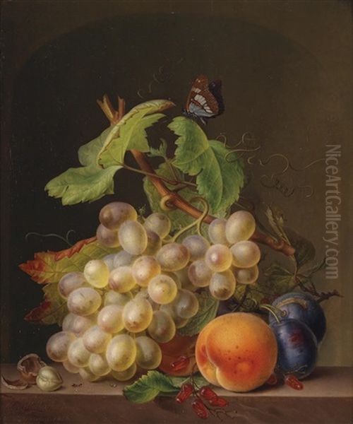 Stillleben Mit Weintrauben, Aprikose, Pflaumen Und Schmetterling Oil Painting by Moritz Tettelbach