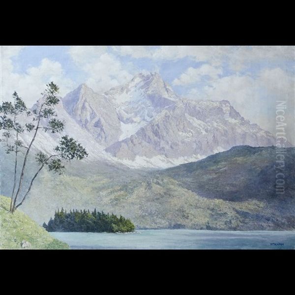 Il Bergwiese Presso Garmisch Oil Painting by Walter Thamm