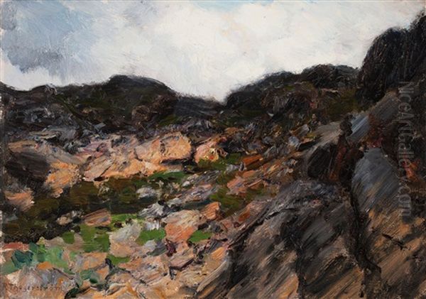 Uppe I Bergen, Dalaro (up In The Mountains, Dalaro) Oil Painting by Robert Thegerstroem