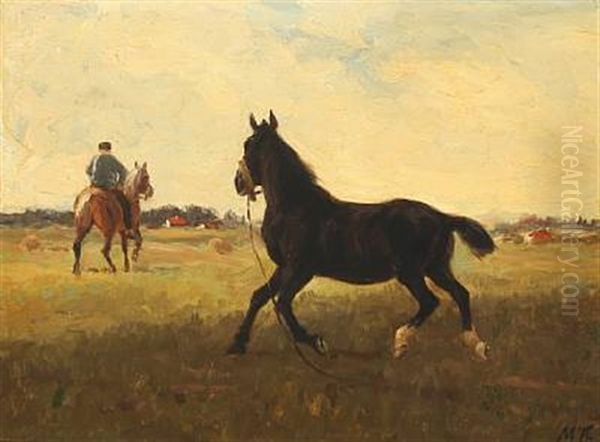 Horses In The Field Oil Painting by Hans Michael Therkildsen