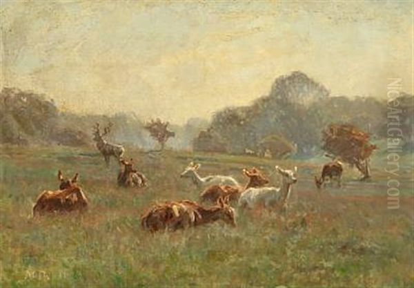 A Group Of Stags On An Early Morning In The Deer Park North Of Copenhagen Oil Painting by Hans Michael Therkildsen