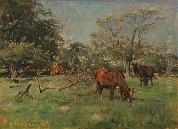 Cows Grazing Among Flowering Trees Oil Painting by Hans Michael Therkildsen