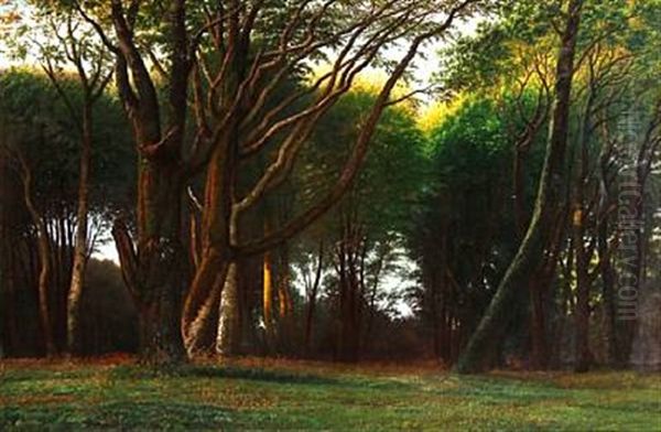 In The Woods Oil Painting by Anton Thiele