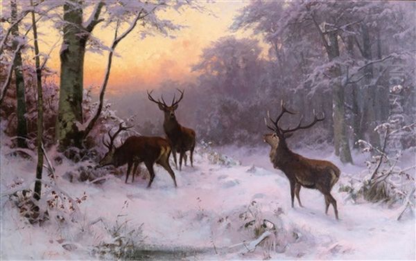 Deer In A Winter Woodland Oil Painting by Arthur (Julius) Thiele