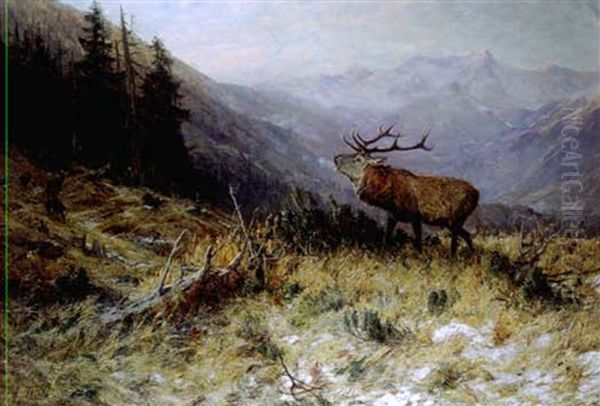 Herbstmorgen Im Hochgebirge In Hohenschaftlarn Oil Painting by Arthur (Julius) Thiele