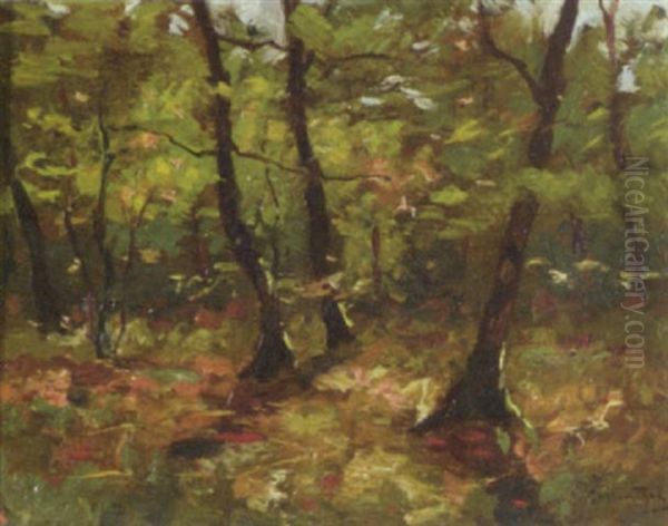 Woodland Grove Oil Painting by Hendrik Otto Van Thol