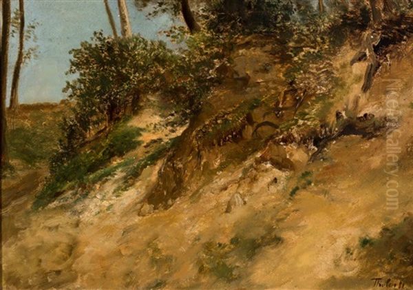 Hollow In The Dunes Oil Painting by Willem Bastiaan Tholen