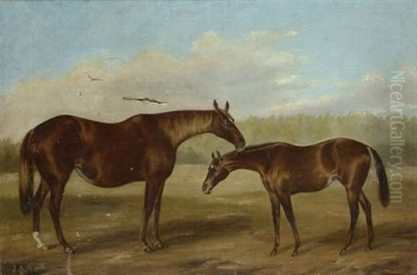 Cavallo E Puledro Oil Painting by John Thomas