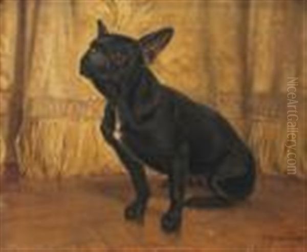 Portrait Of A French Bulldog Oil Painting by Adolphe Thomasse