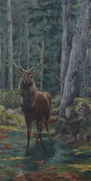 Cerf Dix Cors En Sous Bois Oil Painting by Adolphe Thomasse