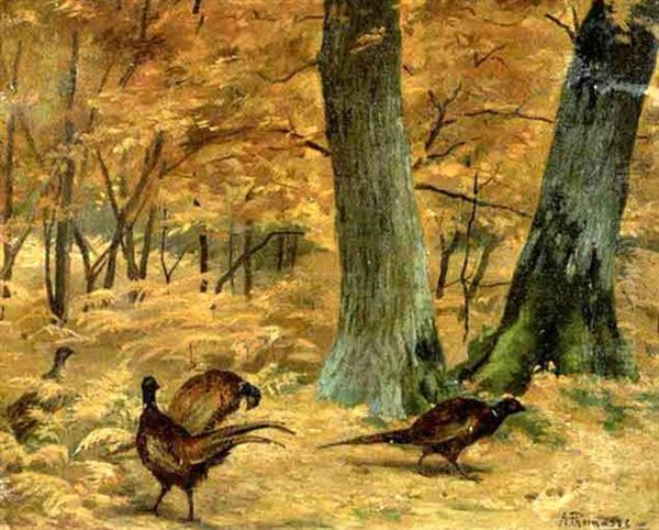 Faisans Dans Un Sous-bois Oil Painting by Adolphe Thomasse