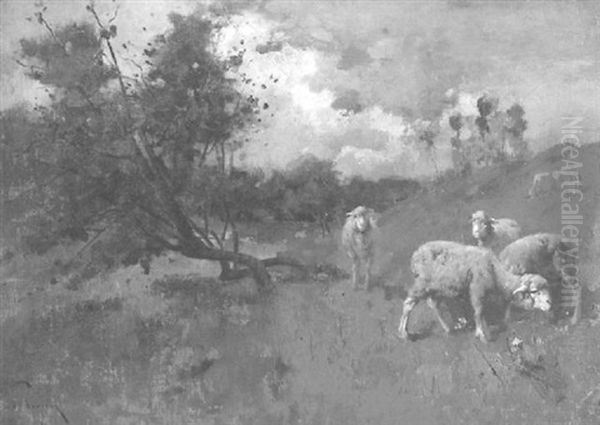 The Sheep Pasture Oil Painting by Alfred Thompson