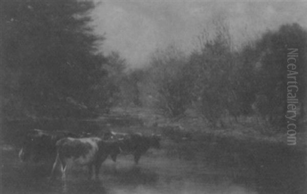 Cows At The River Oil Painting by George Albert Thompson