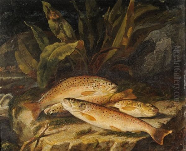 Still Life Of Brown Trout On A Riverbank Oil Painting by Jacob Thompson