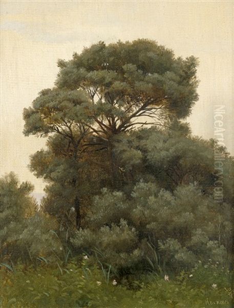 Kleine Waldlichtung Bei Hesnaes Auf Falster Oil Painting by Fritz (Frederik Gotfred) Thomsen