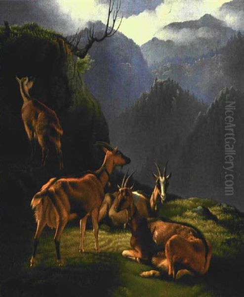 Ziegen Im Hochgebirge Oil Painting by Fritz (Frederik Gotfred) Thomsen