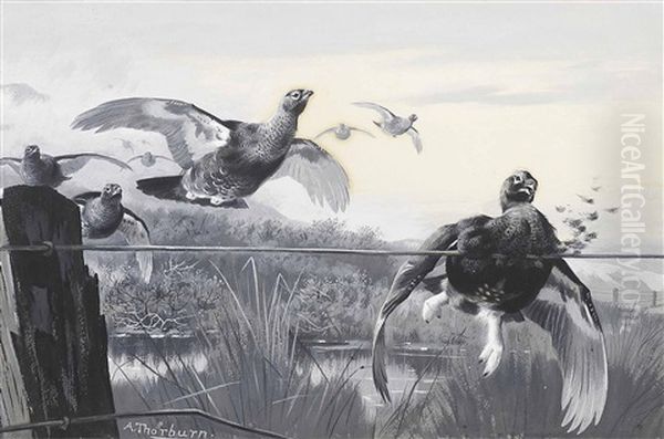 A Death Trap Oil Painting by Archibald Thorburn