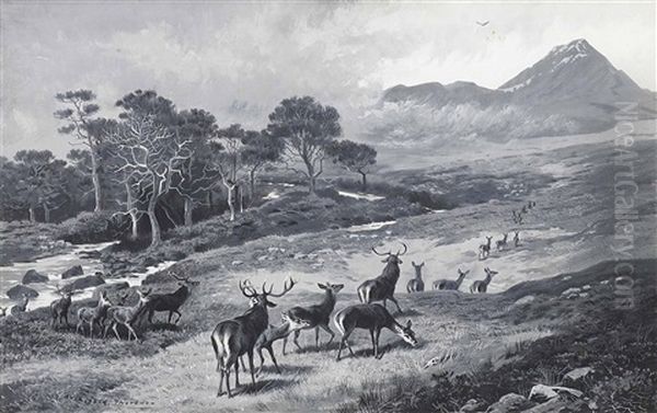 Deer On The Move, Kinlochewe Oil Painting by Archibald Thorburn