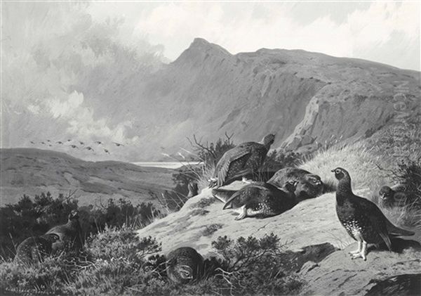 A Covey Of Nine Red Grouse Bathing In The Sun, A Storm Brewing Oil Painting by Archibald Thorburn