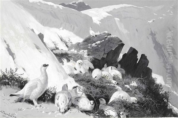 Ptarmigan On A Snow Slip Oil Painting by Archibald Thorburn