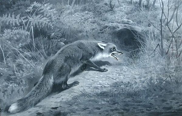 Study Of A Fox Oil Painting by Archibald Thorburn